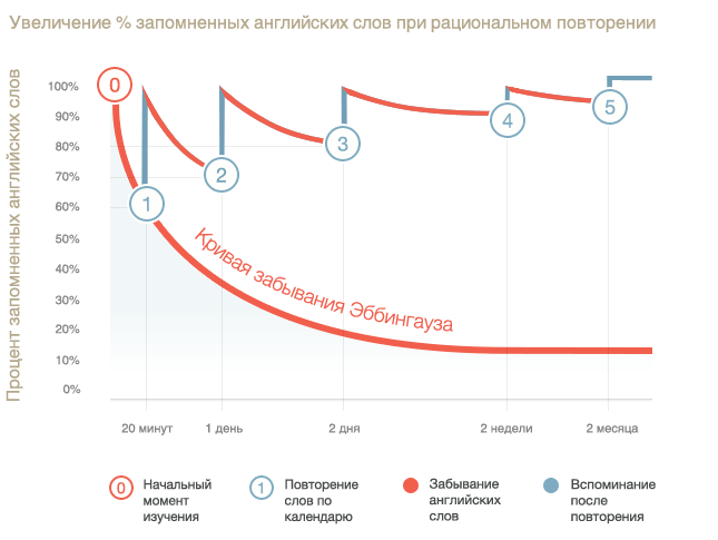 Кривая забывания и интервальное повторение