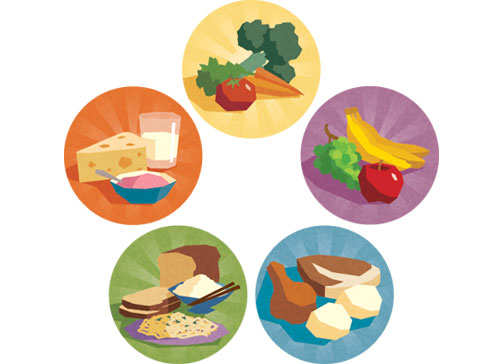 Английские слова на тему ресторан. Картинка к слову: meal